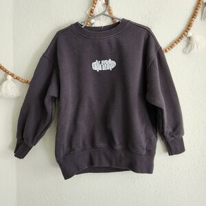Zara Dark Gray Sweatshirt